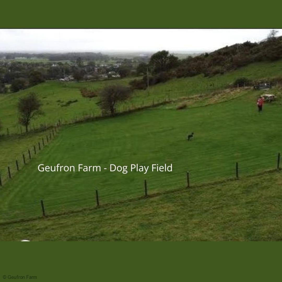 The Barn At Geufron Farm - Dog Friendly - Nr Tywyn Villa Bryn-crug Dış mekan fotoğraf